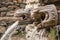 Wooden wall fountain in nepalese village in Annapurna Region