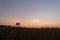 Wooden watchtower located in a field during sunset