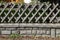 Wooden wattle fence in a garden