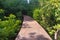 Wooden way in forest at Thapom, Klong Song Nam, Krabi, Thai