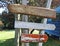Wooden weathered signposts
