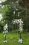 Wooden wedding arch decorated with fresh exotic flowers outdoors