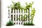 wooden white picket fence overgrown with green gr on white background