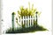 wooden white picket fence overgrown with green gr on white background