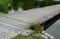 Wooden wide pedestrian bridge over the river pond lake, without railings design of gray oak wood connects to the stone path of