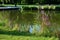 Wooden wide pedestrian bridge over the river pond lake, without railings design of gray oak wood connects to the stone path of nat