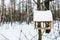 Wooden wild bird feeder on a tree in urban park