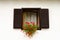 Wooden window with fresh red flower pots