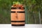 Wooden wine barrel with ripe grapes on table