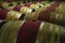 Wooden wine barrels in a basement