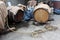 Wooden wine barrels being prepared in paved backyard for new season surrounded with plastic bags and other garbage