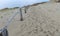 Wooden yard, sand dune view, poor plants