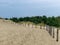 Wooden yard, sand dune view, poor plants