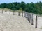 Wooden yard, sand dune view, poor plants