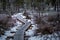 Wooden zig-zag duckboard through swamp landscape with frosty trees.