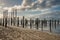 Woodenpoles at the beach near Petten aan Zee, Holland