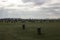 The Woodhenge close to Stonehenge