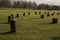 The Woodhenge close to Stonehenge