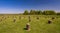 Woodhenge in Wiltshire under a blue sky