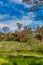 Woodland at the Alcoa Wellard wetlands in Perth