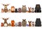 Woodland animals border set