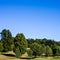 Woodland Area and Grasslands Landscape