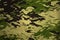 woodland army camouflage tarp canvas texture