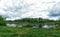 Woodland bog. Clouds sky. Green landscape. Colorful trees.