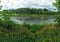 Woodland bog. Forest green river. Clouds sky. Summertime