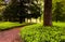 Woodland brick path at Longwood Gardens, PA