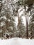 Woodland Cemetery in Stockholm in winter