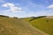 Woodland copse and valley