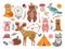 Woodland cute animal. Tribal fox, forest adventure child animals. Little bear brave deer, feather arrow for baby nursery