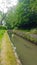 Woodland Footpath and a hidden River, Plymouth, Devon Uk