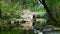 Woodland Footpath over the River Plym, Dartmoor , Devon Uk