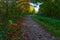 A woodland footpath strewn with leaves curves through the trees