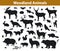 Woodland forest animals silhouettes collection