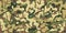 Woodland grunge camouflage, seamless pattern. Military urban camo texture. Army or hunting green and brown colors.