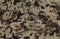 Woodland grunge camouflage, seamless pattern. Military urban camo texture  Army or hunting green and brown colors.