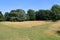 Woodland Landscape in North Kent