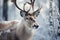 Woodland magic reindeer amid a snowy forest evoke the tranquility of winter