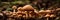 Woodland mushroom closeup for banner. Forest macro botanical background. Generative AI