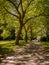 A woodland path in Stanley Park, Vancouver, British Columbia, Canada