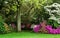 Woodland scene with Dogwood, azaleas and birdhouse