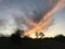 Woodland silhouette, clouds and sunset