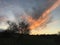 Woodland silhouette, clouds and sunset