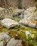 Woodland stream rushing intp crystal clear pool in Corsica