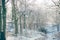 Woodland trail with snowy tree`s