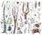 Woodland vintage style design elements. Watercolor hand drawn rural forest set with illustration of natural green trees