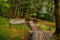 Woodland Walk Trail to the Famous Glenfinnan Viaduct View Point, Known from Harry Potter Movie Series, in Scotland